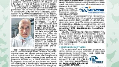 Photo of Симптомы и лечение кокцидиоза