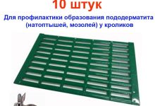 Photo of Как защитить кроликов от энтерита