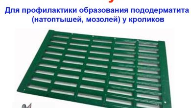 Photo of Как защитить кроликов от энтерита