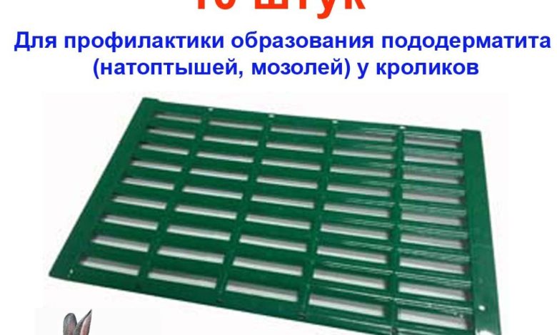 Photo of Как защитить кроликов от энтерита