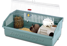 Photo of Как выбрать правильную клетку для кролика