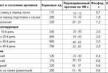 Photo of Как составить меню для кролика