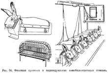 Photo of Способы укрощения капризов кроликов