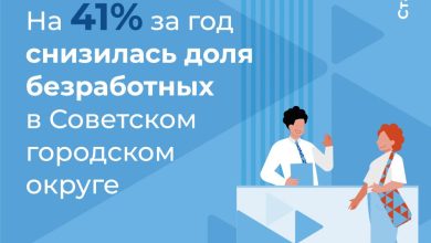 Photo of Как обучить кролика справляться со стрессом