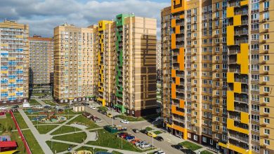 Photo of Как обучить кролика командам