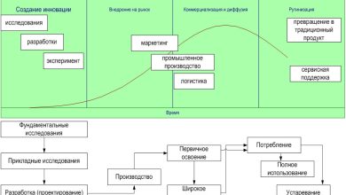 Photo of Как обучить кролика командам