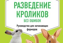Photo of Как правильно гладить кролика