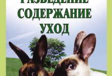 Photo of Кролики и их чувство равновесия
