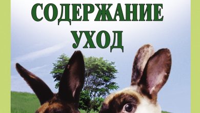 Photo of Кролики и их чувство равновесия