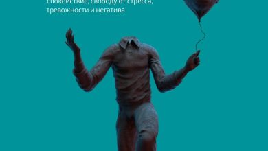 Photo of Как обучить кролика контролировать свои эмоции