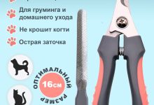 Photo of Как правильно обрезать когти у кролика