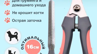 Photo of Как правильно обрезать когти у кролика