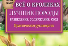 Photo of Кролики и их способности к самостоятельности