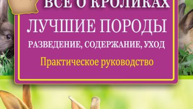 Photo of Кролики и их способности к самостоятельности