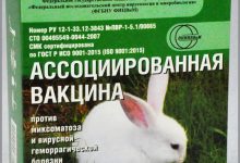 Photo of Как защитить кролика от болезней