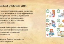 Photo of Кролики и их способности к самоохране