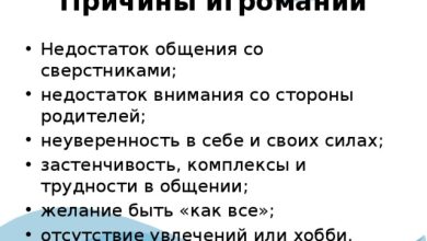Photo of Кролики и их способности к самозащите