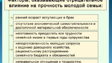 Photo of Кролики и их способности к самовыражению