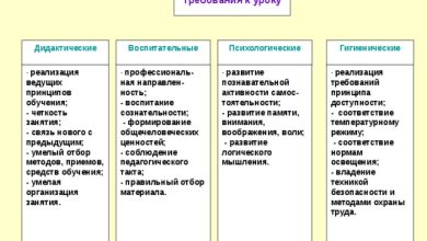 Photo of Как обучить кролика выражать свои чувства
