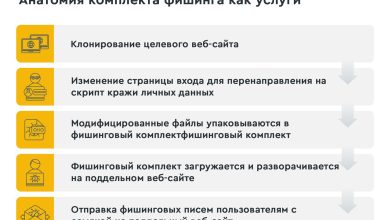 Photo of Почему кролики обгладывают предметы